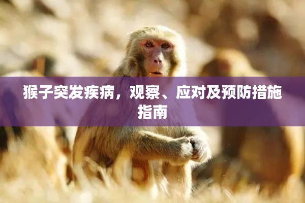 猴子突发疾病,观察、应对及预防措施指南