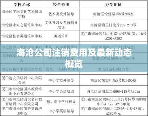 海沧公司注销费用及最新动态概览