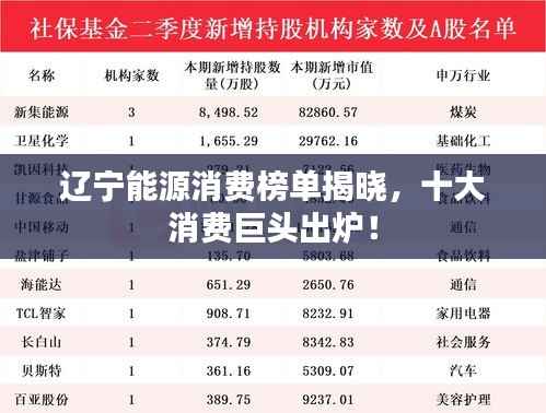 辽宁能源消费榜单揭晓,十大消费巨头出炉!