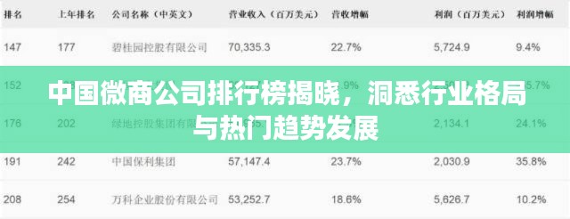 中国微商公司排行榜揭晓,洞悉行业格局与热门趋势发展