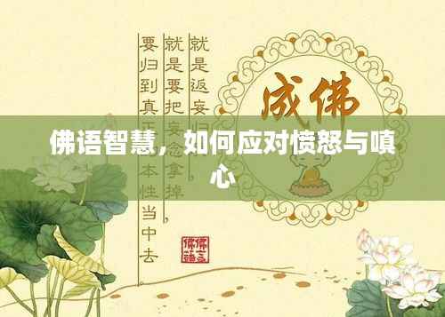 佛语智慧,如何应对愤怒与嗔心