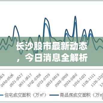 长沙股市最新动态,今日消息全解析
