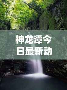 神龙潭今日最新动态速递