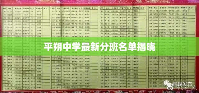 接连不断 第3页