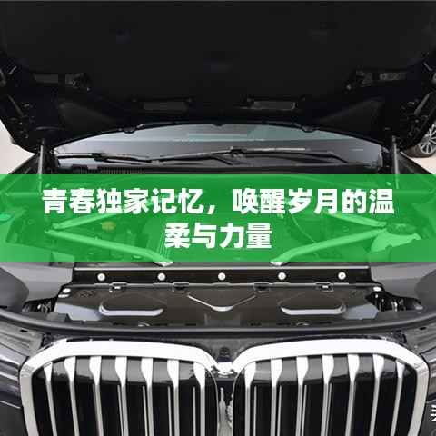青春独家记忆,唤醒岁月的温柔与力量