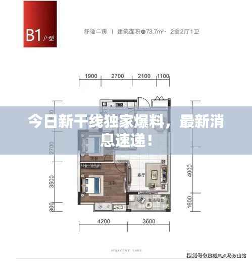 今日新干线独家爆料,最新消息速递!