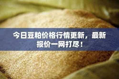 今日豆粕价格行情更新,最新报价一网打尽!