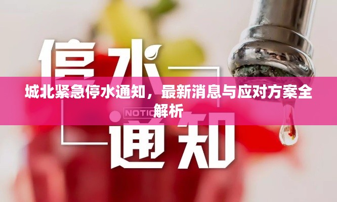 城北紧急停水通知,最新消息与应对方案全解析