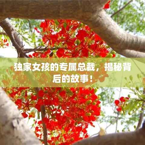 独家女孩的专属总裁,揭秘背后的故事!