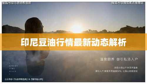 印尼豆油行情最新动态解析