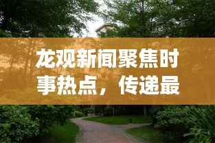 龙观新闻聚焦时事热点,传递最新资讯动态