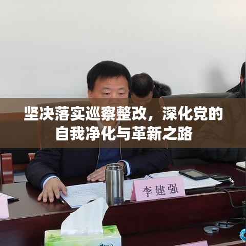 坚决落实巡察整改,深化党的自我净化与革新之路