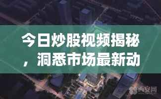 今日炒股视频揭秘,洞悉市场最新动态,掌握投资先机