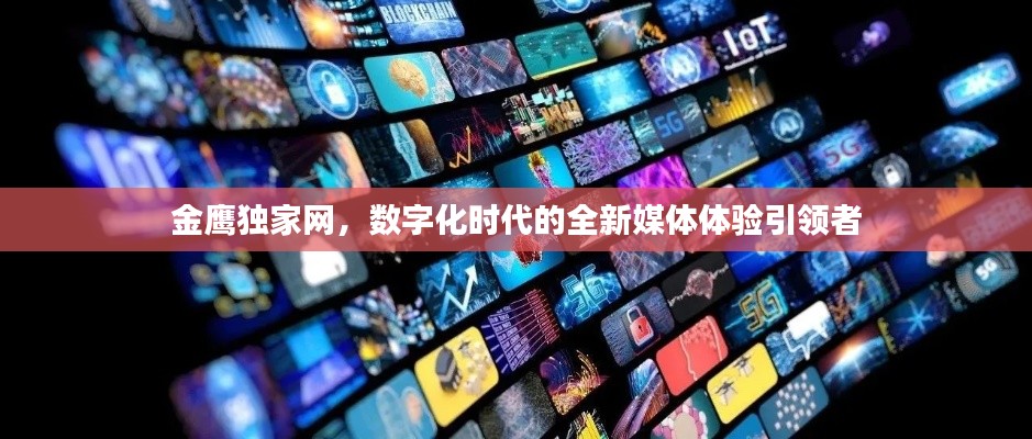 金鹰独家网,数字化时代的全新媒体体验引领者