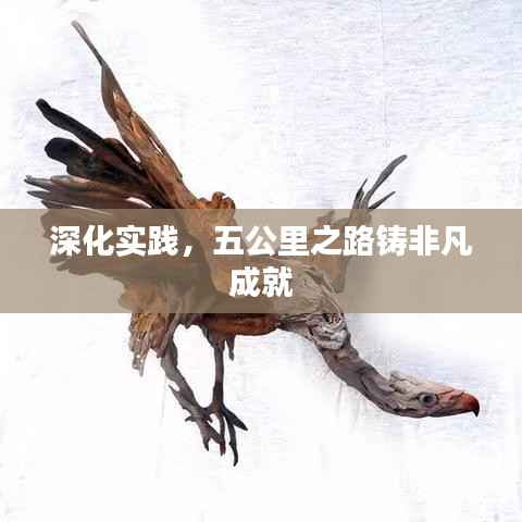 深化实践，五公里之路铸非凡成就