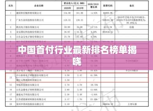 中国首付行业最新排名榜单揭晓