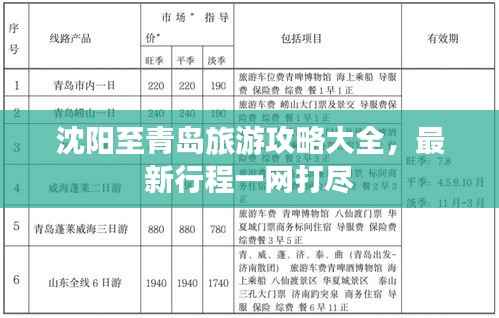 沈阳至青岛旅游攻略大全,最新行程一网打尽